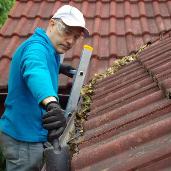 Entretien d'automne prévenir des gelées